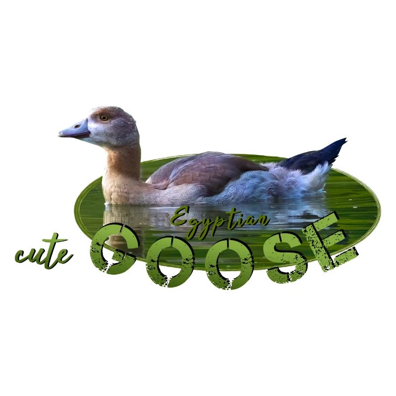 Nilgans Küken Vogel Gans