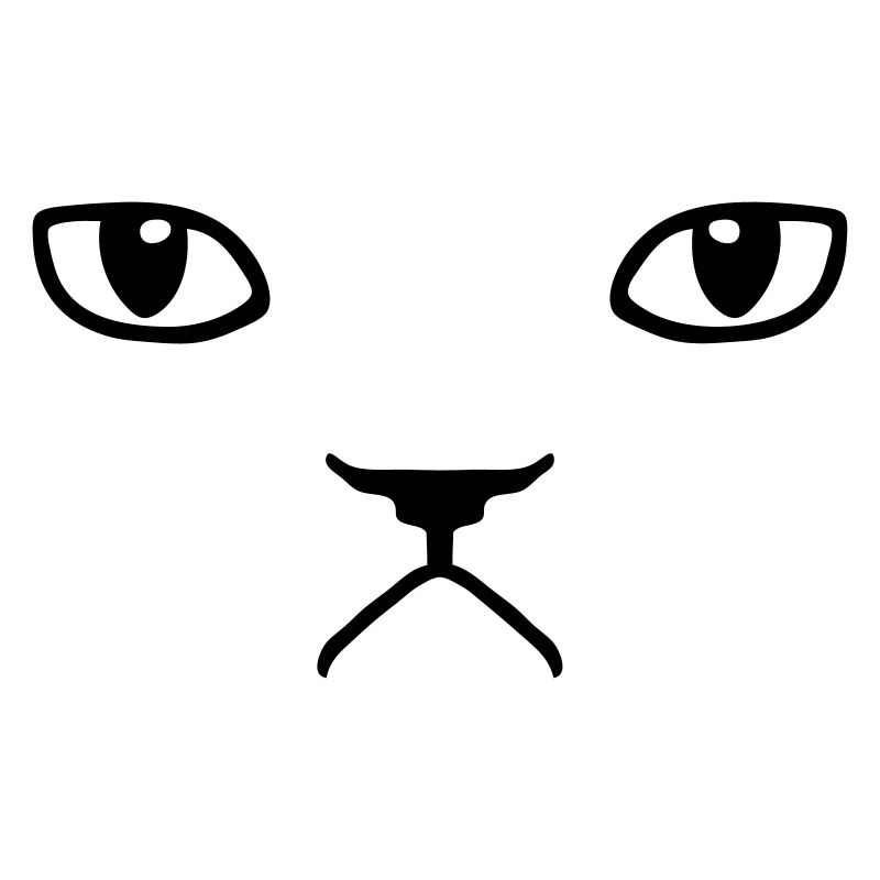 chat pas content grumpy kitty cat