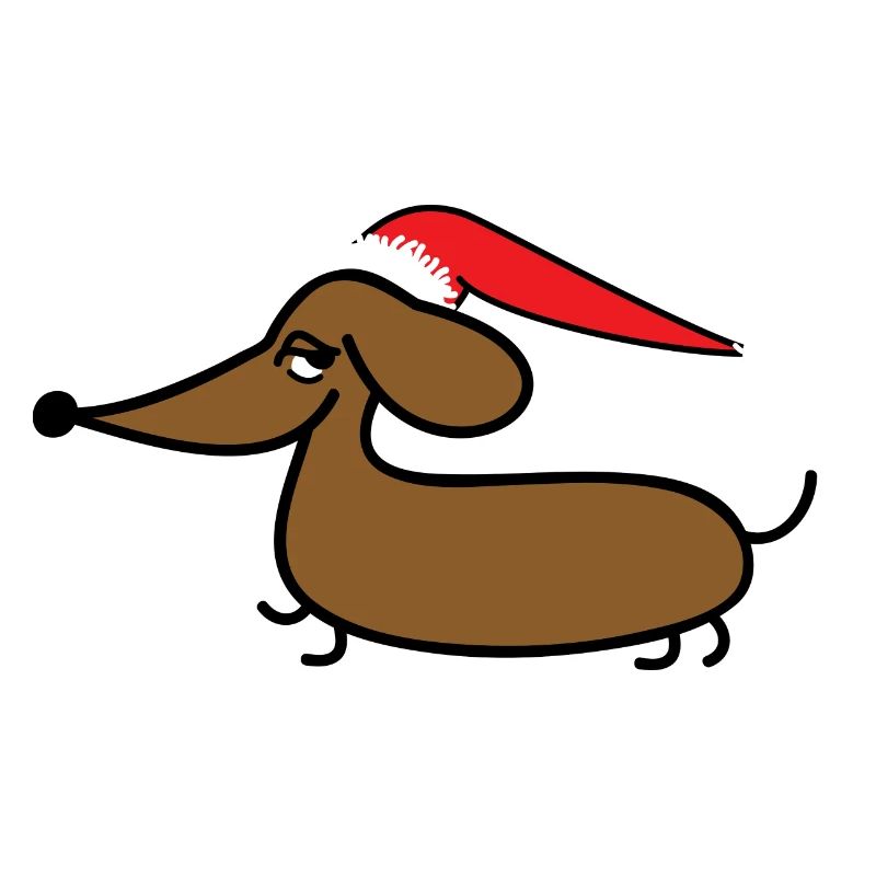 Teckel avec Bonnet de Noel