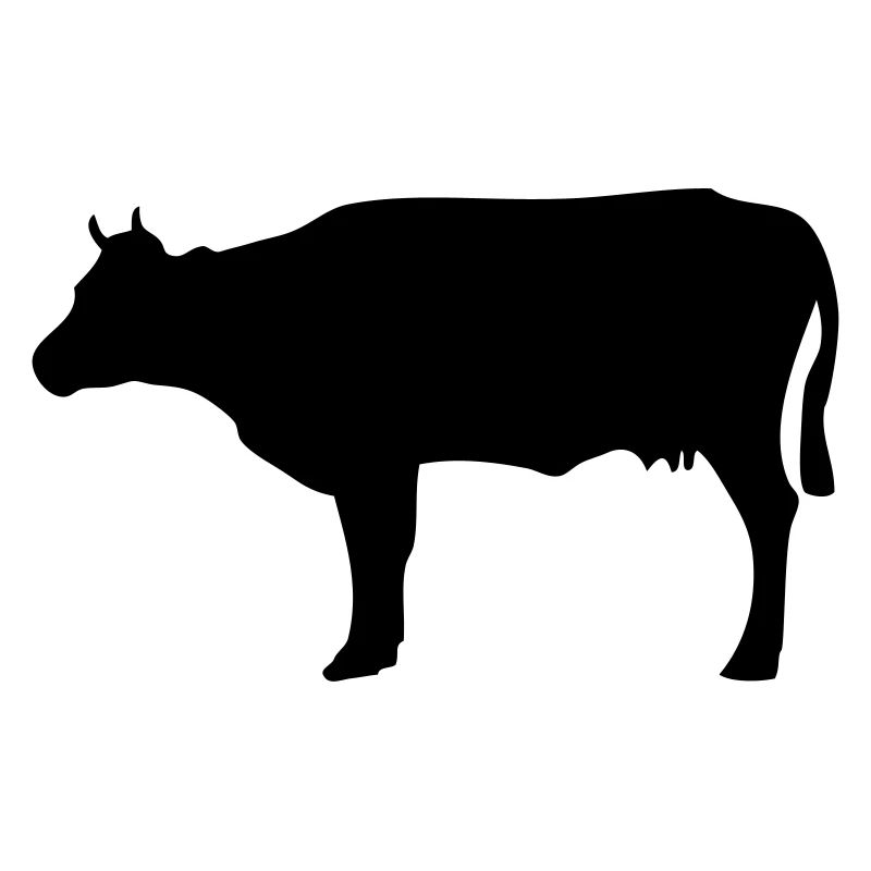 Vache