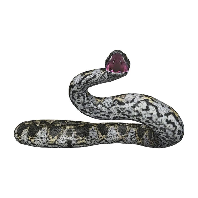 Serpent idole, boa constrictor, serpent