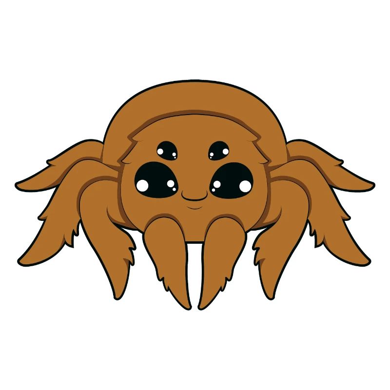 Spinne