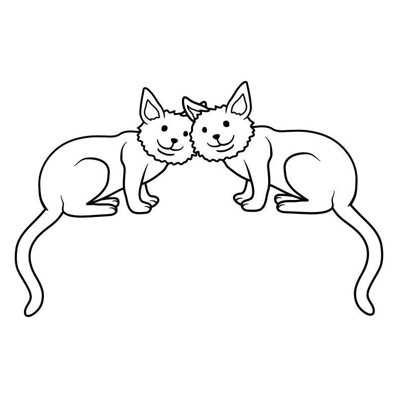 Cats Team 2 Amis