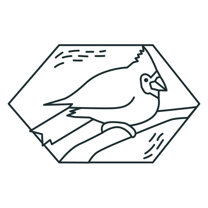 Diamant Kardinalvogel