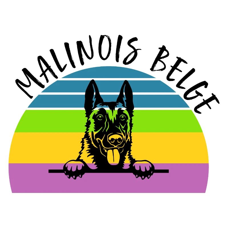 Belgian Malinois Belgian Malinois
