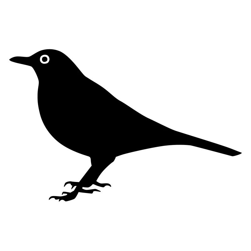 Oiseau Merle