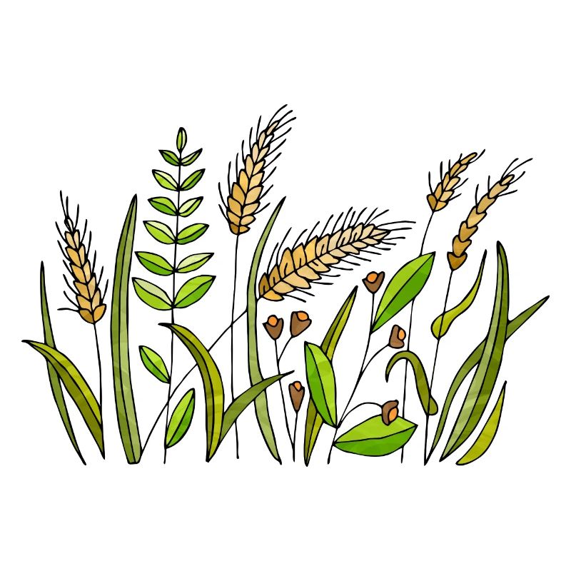 Grass