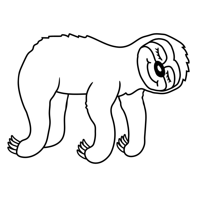 Hanging lying tired sloth