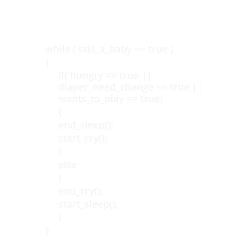 Programmeur informatique Codeurs Software Engineers Gift