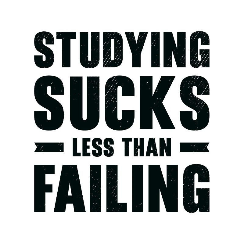 Studying Student Learning Education Lessons Study