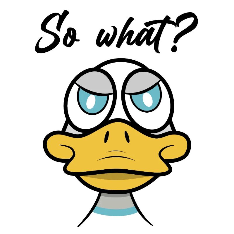 so what? with duck comic