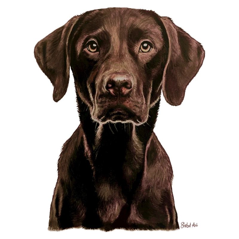 Labrador