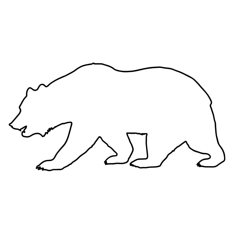Dessin d’ours