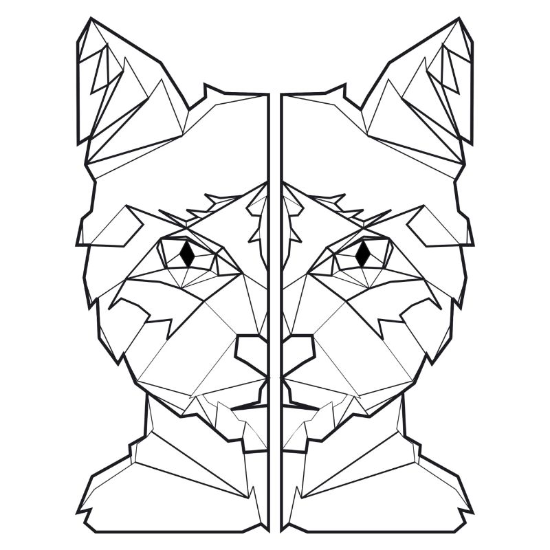 ami chat, ami de chat, chemise de chat
