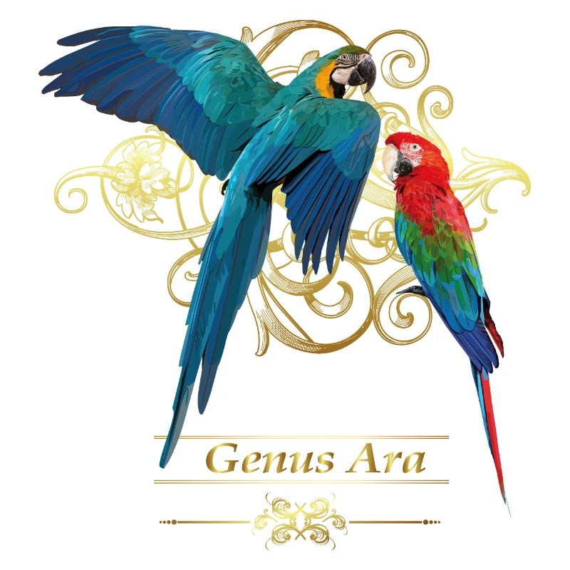 Macaws