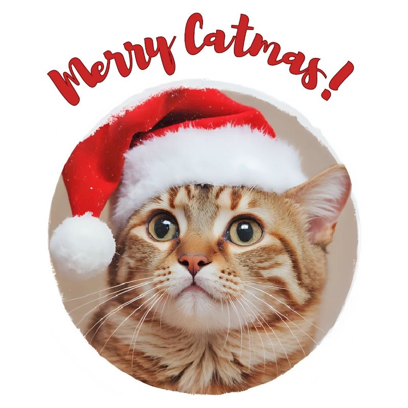 Fröhliche Catmas!