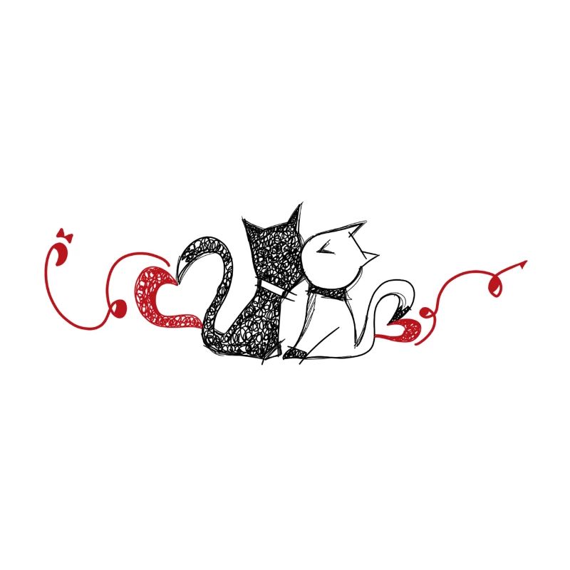 Twee liefhebbende katten