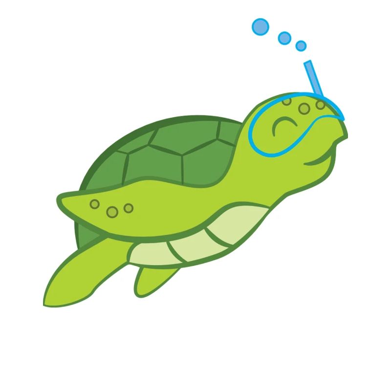 Turtle - Turtle Lover - Turtles