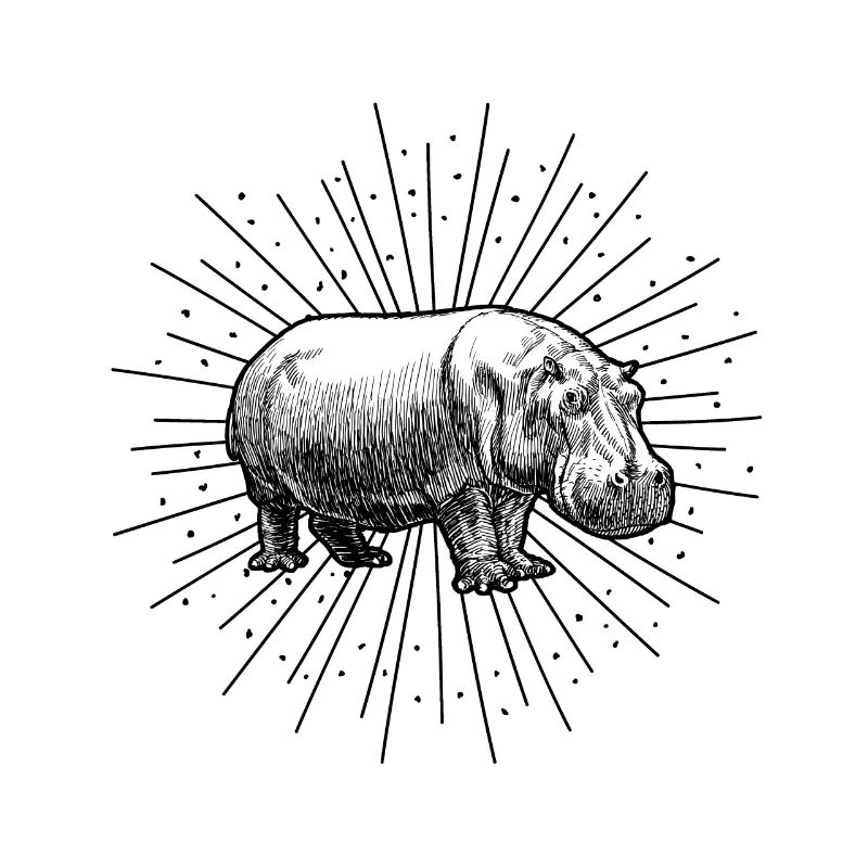 hippo