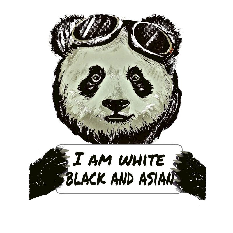 Cool Pilot Panda