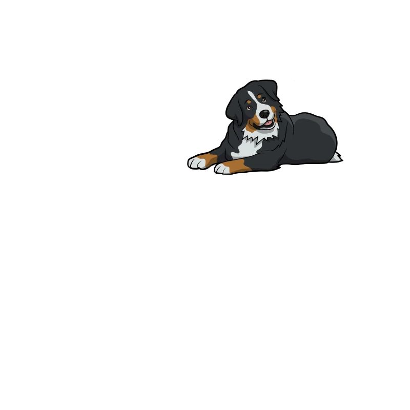 Bernese Mountain Dog