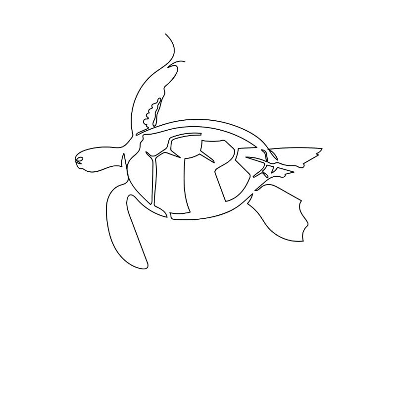 One line art drawn turtle