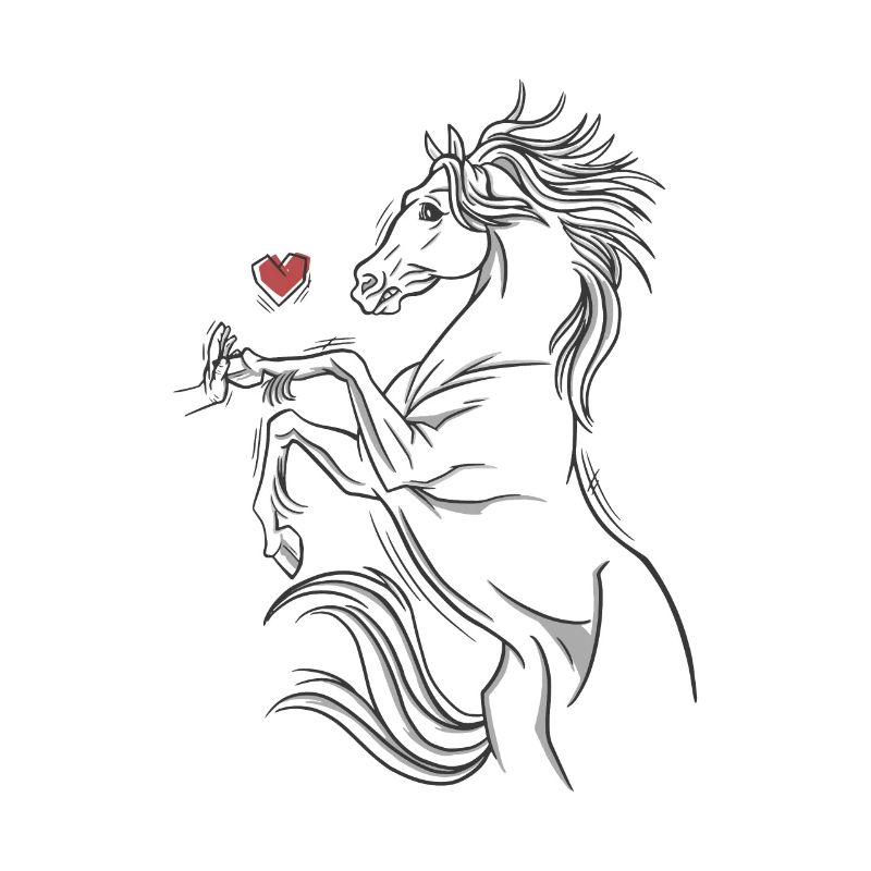 Pferd Mädchen Pferde Liebe Reiten Pferdenarr
