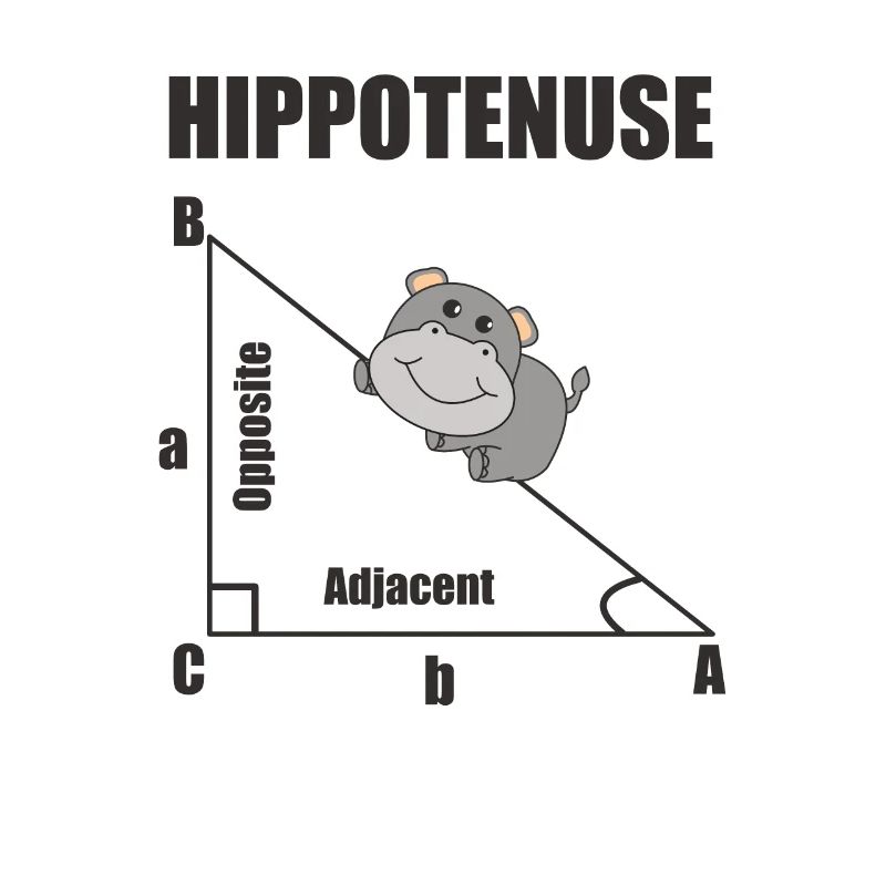 Nerd Geometry Hippotenuse Hypotenuse Math