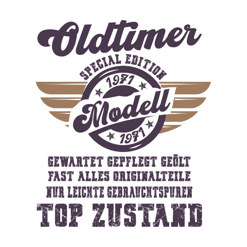 Oldtimer Modell Retro Flügel Geschenk