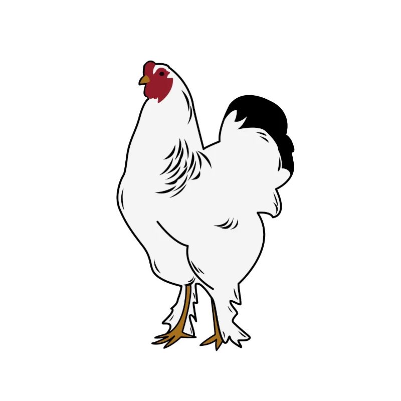 Brahma Rooster Chicken Funny Farmer Chicken