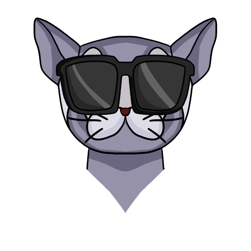 Britisch Kurzhaar Katze mit Sonnenbrille