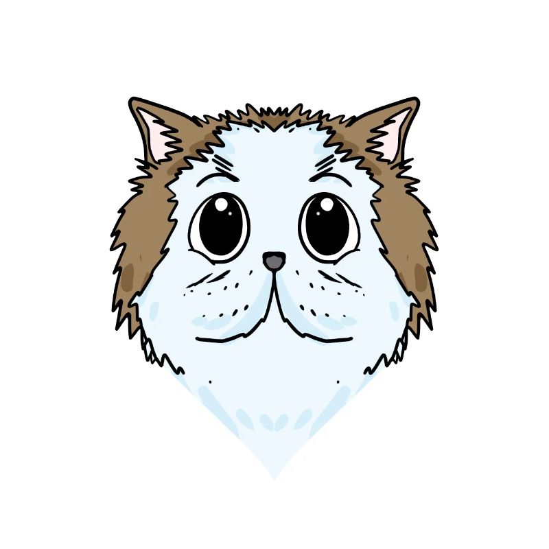 Chat persan Chat Race Chat