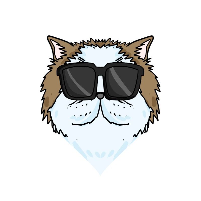 Cool Chat Persan Chat Race Chat