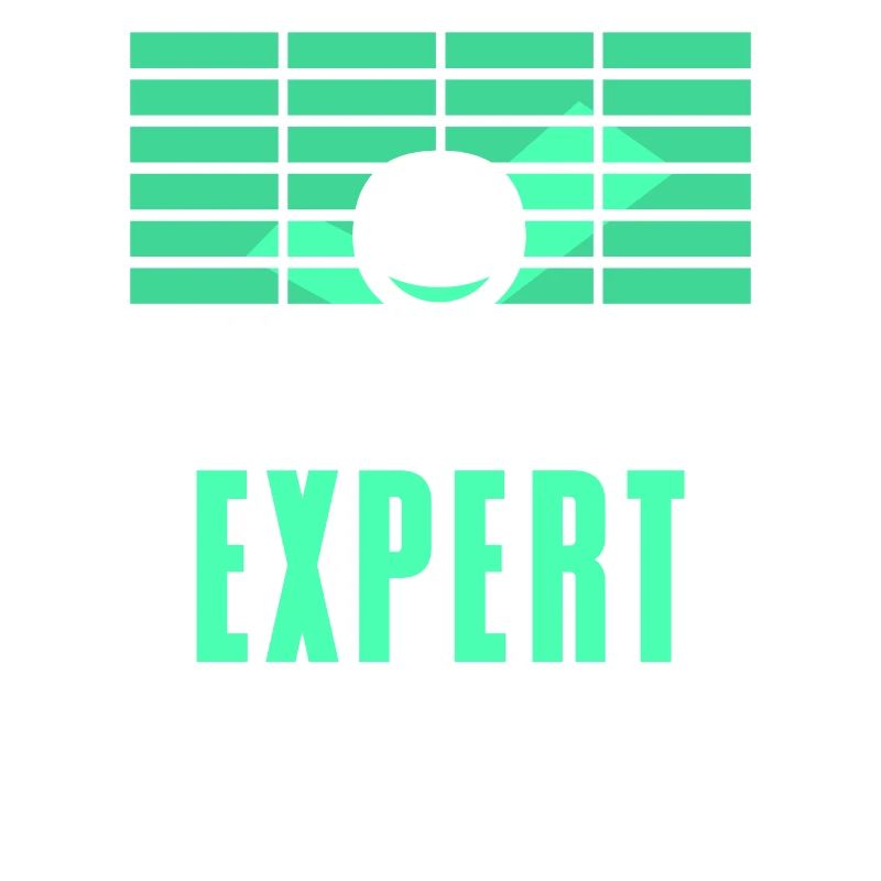 Spreadsheet Experte Buchhalter Tabelle Arbeit