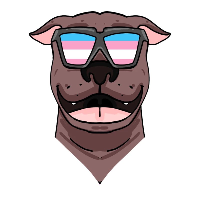 American Pit Bull Terrier