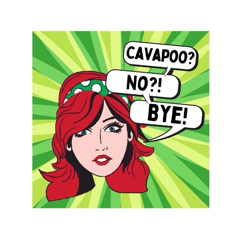 Cavapoo? No? Comic