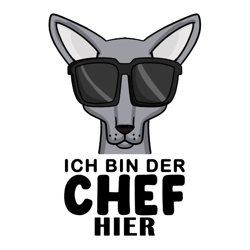 coole Katze - Sphynx Katze Spruch