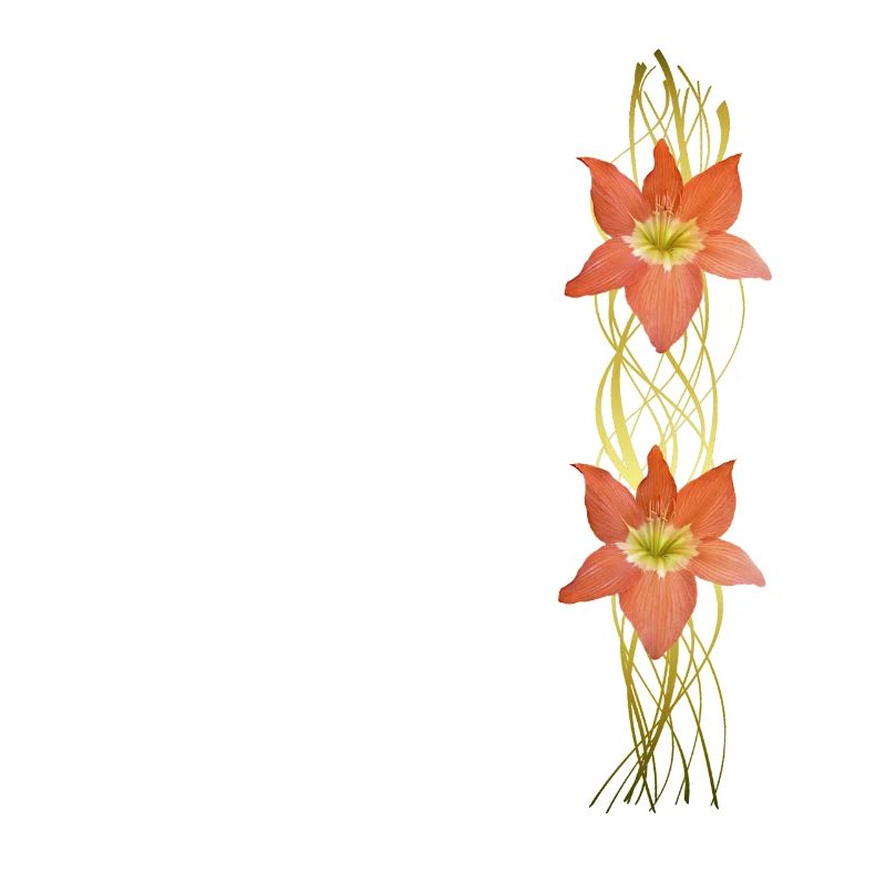 Amaryllis - Graphique - Fleurs - fleurs tropicales