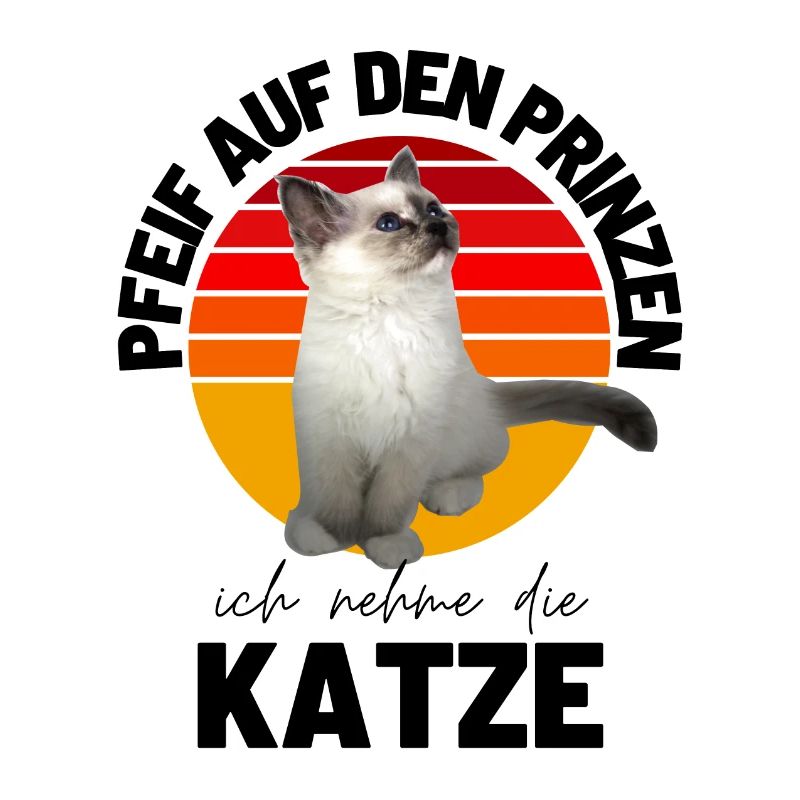 KATZE Katzen Spruch Katze Kätzchen Kitten