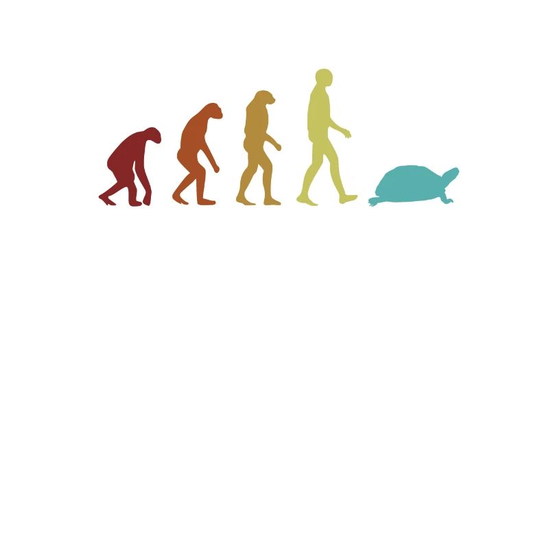 Turtle Evolution Wasserschildkröte Schildkröte
