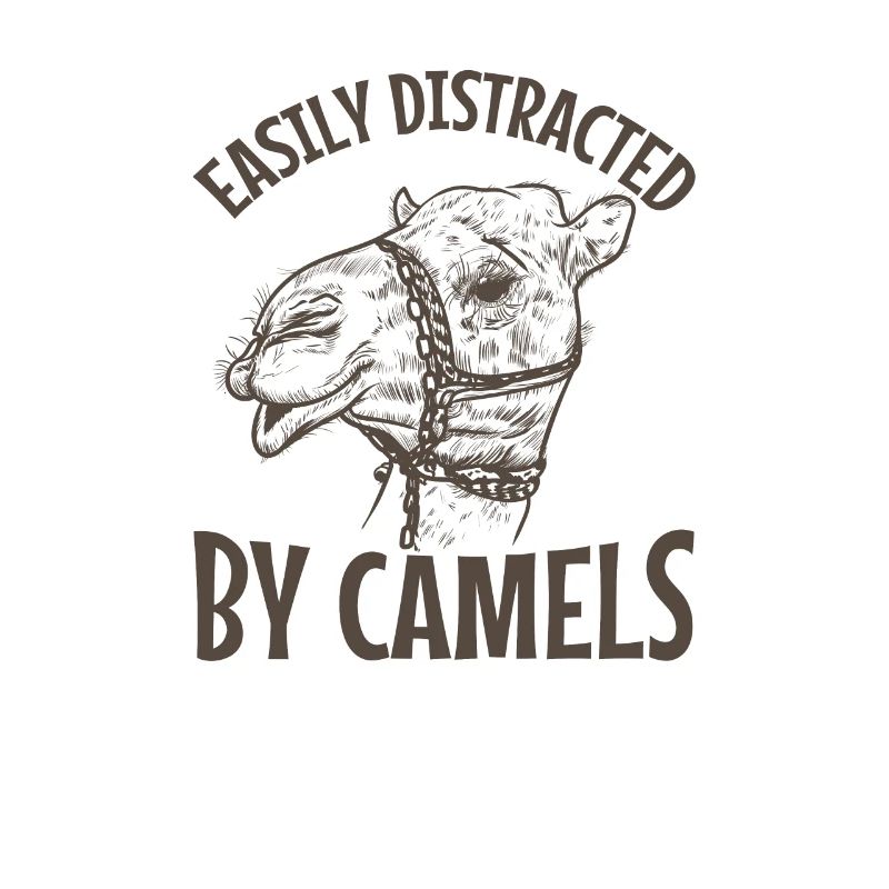 Easily Distracted by Camels Dromedar