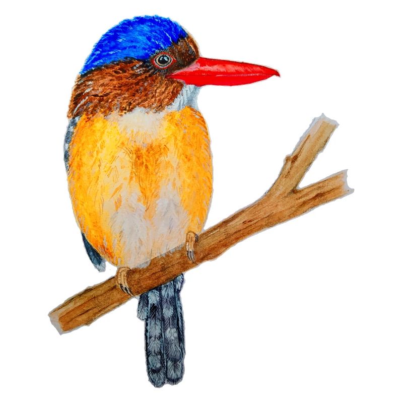Bunter Vogel
