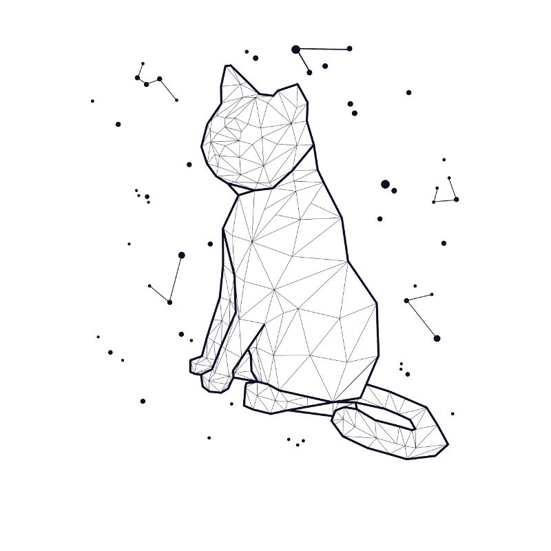 Constellation Cat Constellation Chaton Chat domestique