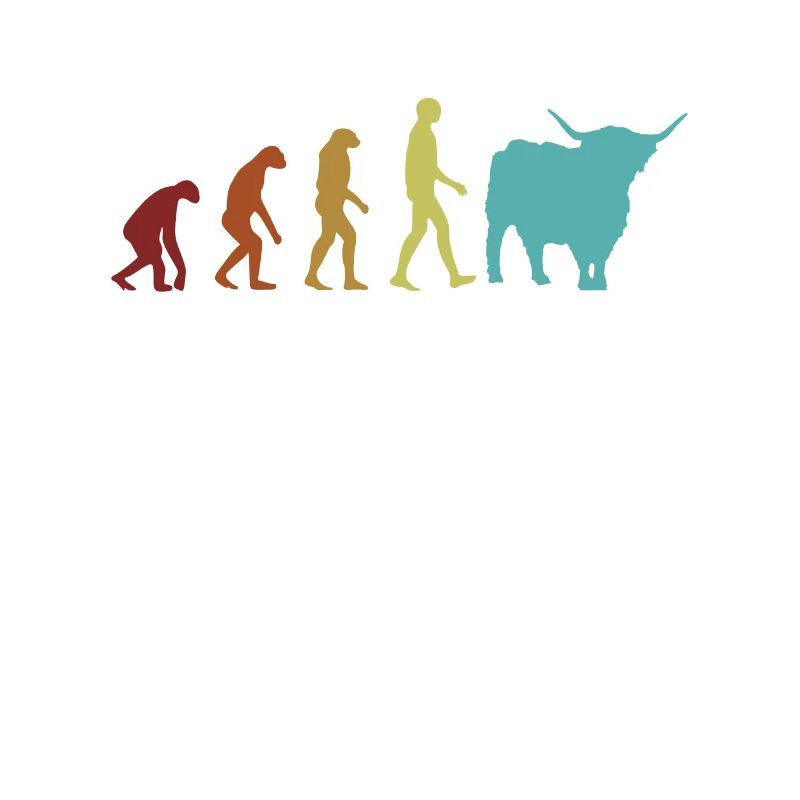 Highland Cattle Evolution Highland Vache Highland