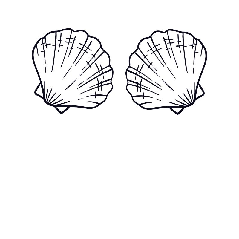 Seashell Bra BH Shell Shelling Bag Seashell