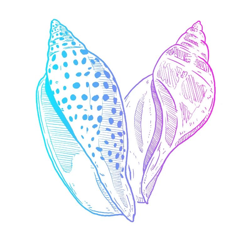 Shelling Bag Bivalvia Shell Hunter Seashell