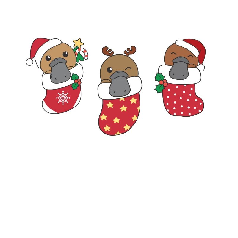 Mignon ornithorynque en chaussette de Noël aussi