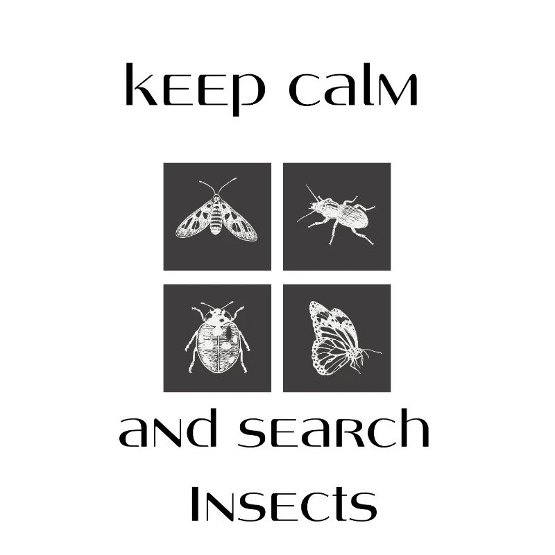 keep calm insects