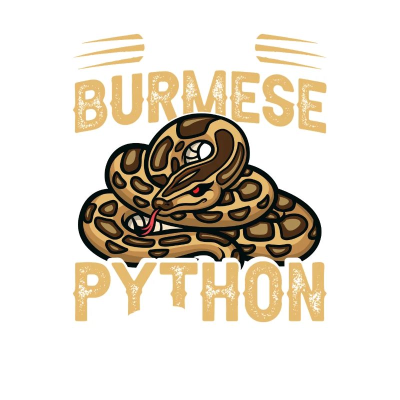 Python-Tamer-Schlangen-Terrarium-Reptilienhüter