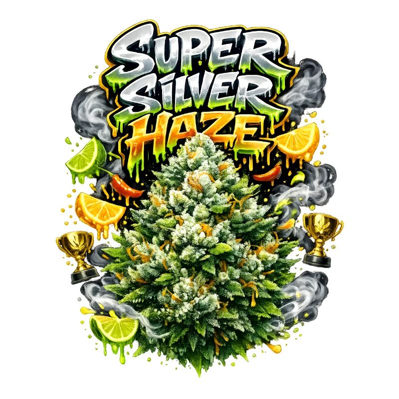 Super Silver Haze Graffiti Print